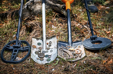 Search for treasure using a metal detector and shovel.