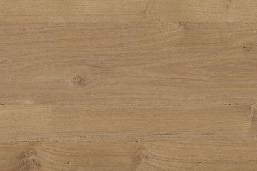 wood timber tree wooden backdrop structure texture background wallpaper