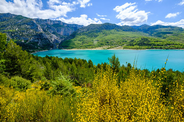 Fototapeta premium Vue panoramique sur le lac de Sainte-Croix au printemps, ciel bleu avec de beaux nuages, fleur de genêt au premier plan. Provence, France. Gorges du Verdon. 