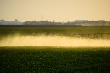 Jets of liquid fertilizer from the tractor sprayer.