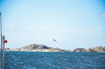 Beautiful Swedish ocean, scenic west coast, recreation concept.