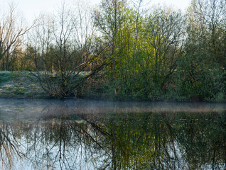 Obraz premium Spring landscape