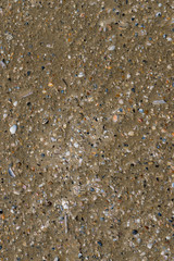 Muscheln und Sand am Strand