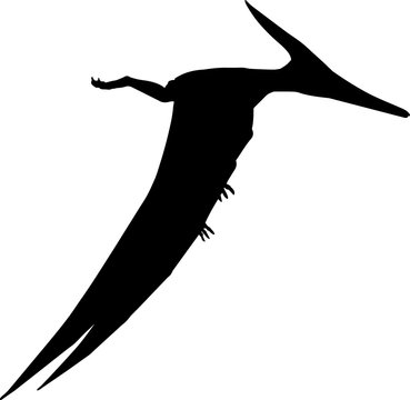 black pterodactyl silhouette flying against white clip art preview