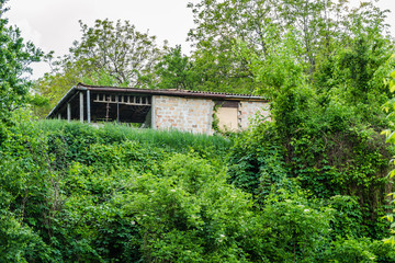 Abandoned house in a village near Novi Sad-Petrovaradin