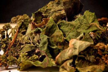 Eye level close up view of large pile of dried patchouly leaves and flowers with dark background....