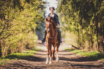 portrait of young woman and trakehner stallion in the forest