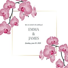 Tropical jungle exotic pink orchi flowers branch. Text placeholder in the middle. Wedding marriage event invitation. 