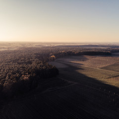 Wald und Felder von oben