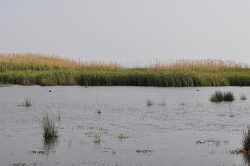 The beautiful natural Wetland Limassol Salt Lake landscape in Cyprus