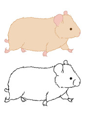 Little cute hamster running fast on white background. Vector illustration of small rodent hurrying on business. Coloring page for children.