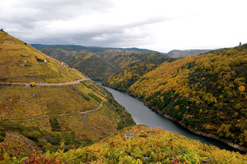 Naklejka premium Panoramic of the Sil Canyon in Galicia