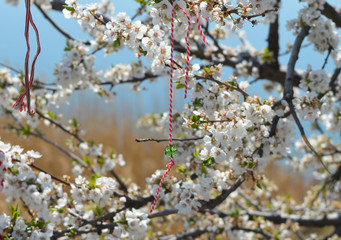 Obraz premium Martenitza on branch with clover form