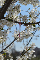 Martenitza appends on a branch
