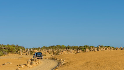 Large size SUV car crosses the Pinnacles Desert before sunset, Western Australia