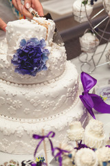 Fototapeta na wymiar bride cut the wedding cake
