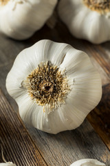 Raw Organic Garlic Bulbs