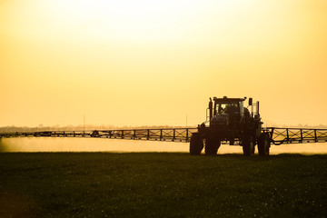 Fototapeta premium tractor with the help of a sprayer sprays liquid fertilizers on young wheat in the field.
