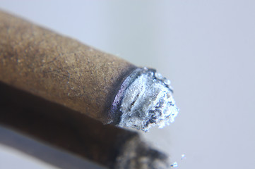 Zigaretten Spitze mit sichtbare Asche isoliert.