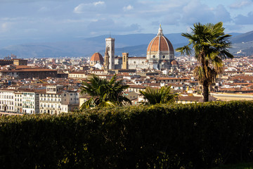 Obraz premium Amazing view on Florence city and its main cathedral dome (Santa Maria del Fiore dome). Awesome cityscape of Florence roofs, Italy. Florence from above, near observation deck. Palms on the foreground.