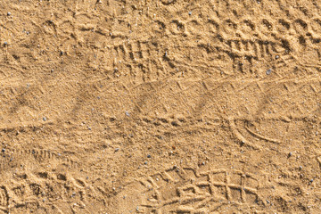 Fototapeta na wymiar signs in the sand