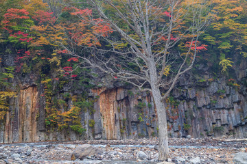 Autumn in Hachimantai, Tohoku region