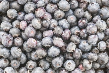 Nahaufnahme von Heidelbeeren