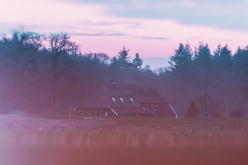 Historical dutch farm in morning twilight.