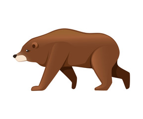 Grizzly bear. North America animal, brown bear. Cartoon animal design. Flat vector illustration isolated on white background. Bear walking, side view