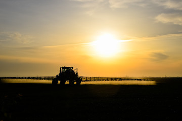 tractor with the help of a sprayer sprays liquid fertilizers on young wheat in the field.