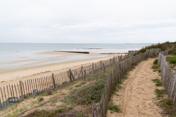 Fototapeta na wymiar Beach Path Through Dunes in ile de re in french country island