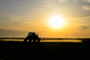 Fototapeta premium tractor with the help of a sprayer sprays liquid fertilizers on young wheat in the field.
