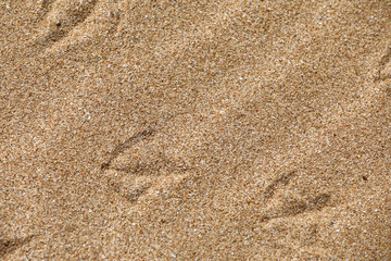 Strand Spuren im Sand