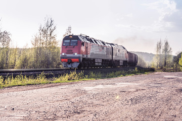 Plakat Freight train hauled by the diesel locomotives passing the forest