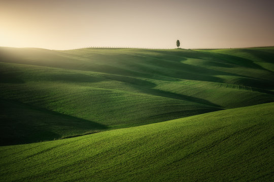 Panoramic view of beautiful endless green fields in bright sunlight, Italy