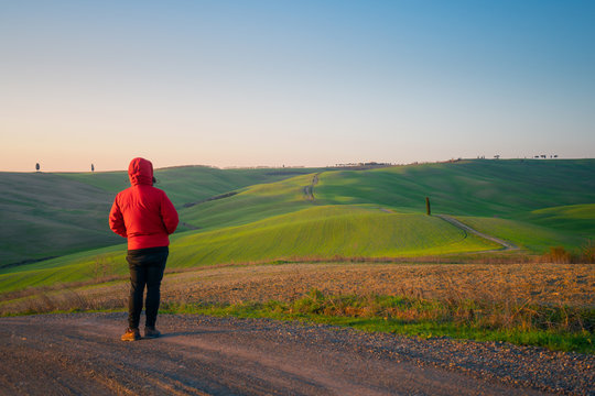 Back view of man in jacket walking on empty rural road in majestic green fields of Italy