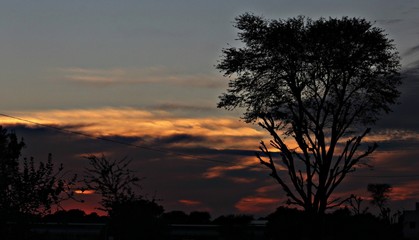 Fototapeta premium sunset