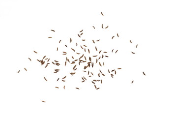 Cumin seeds or caraway isolated on white background