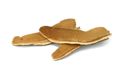 Dried lingzhi mushroom (Also called as Reishi mushroom in Japan, Lingcheu in Thailand, Lingzhi mushroom in China, Ganoderma Lucidum Karst or lacquered mushroom) on white.
