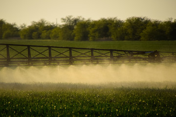 Jets of liquid fertilizer from the tractor sprayer.