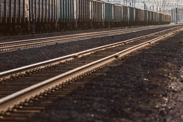 Obraz premium The train is on the railway track. Many cars with cargo in the rays of sunset lighting.