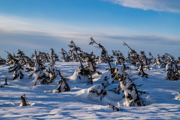 Snowy scenery of Hachimantai in Tohoku region