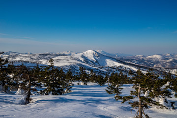 Fototapeta na wymiar Snowy scenery of Hachimantai in Tohoku region