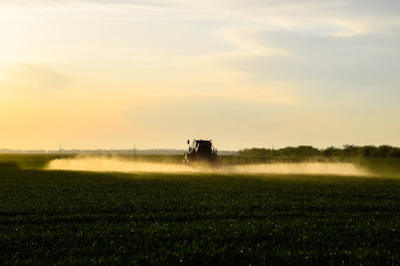Obraz premium tractor with the help of a sprayer sprays liquid fertilizers on young wheat in the field.