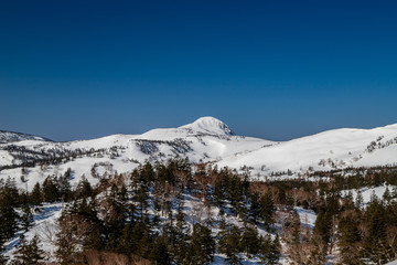 Fototapeta na wymiar Snowy scenery of Hachimantai in Tohoku region