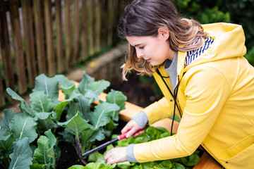 Junge Frau bei der Gartenarbeit an einem Hochbeet 