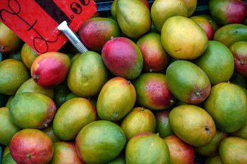 Red and green mango displayed on food market at Lewisham, London