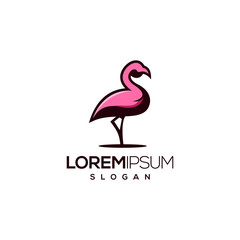 flamingo logo design,vector,illustration