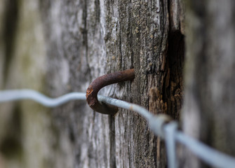 rusty barbed wire