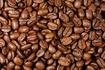 Freshly ground coffee beans roasted with the fruits of the coffee plant, full of grains.